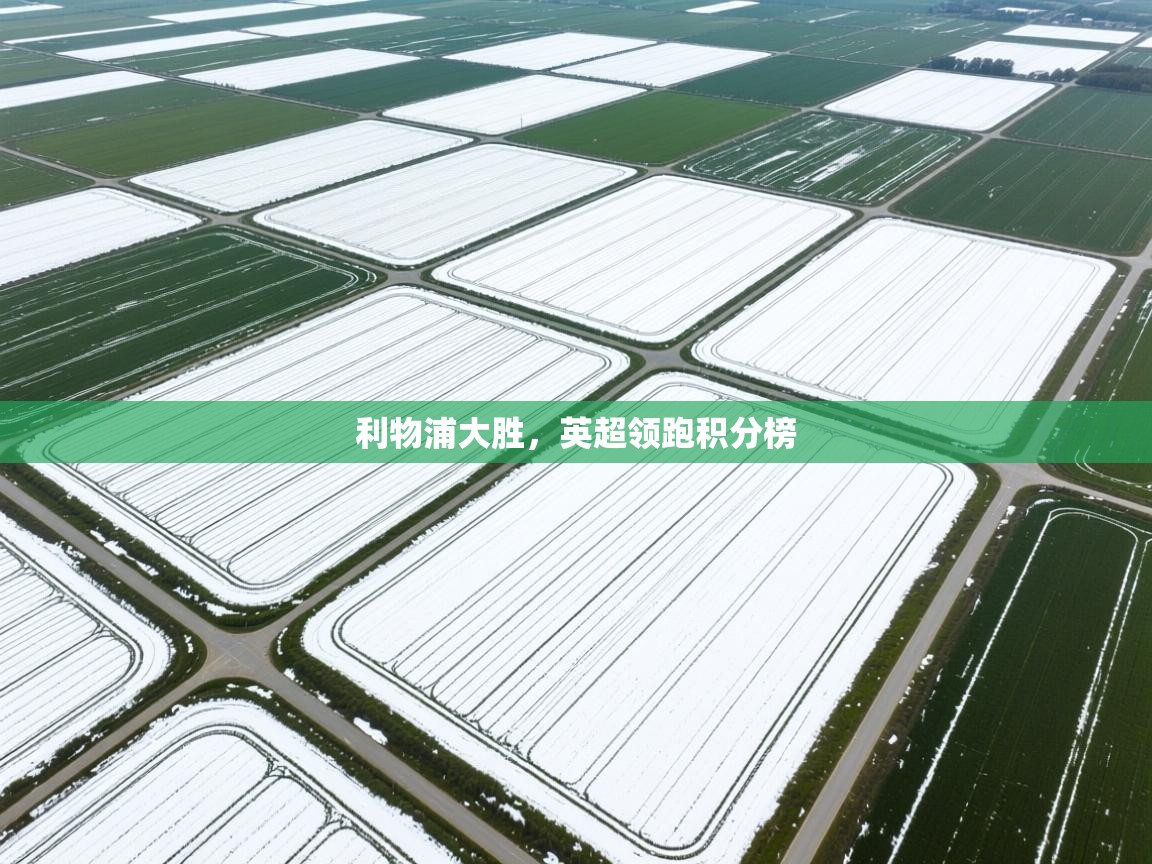 利物浦大胜,英超领跑积分榜 第1张