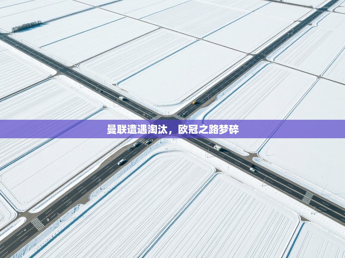 曼联遭遇淘汰，欧冠之路梦碎  第2张