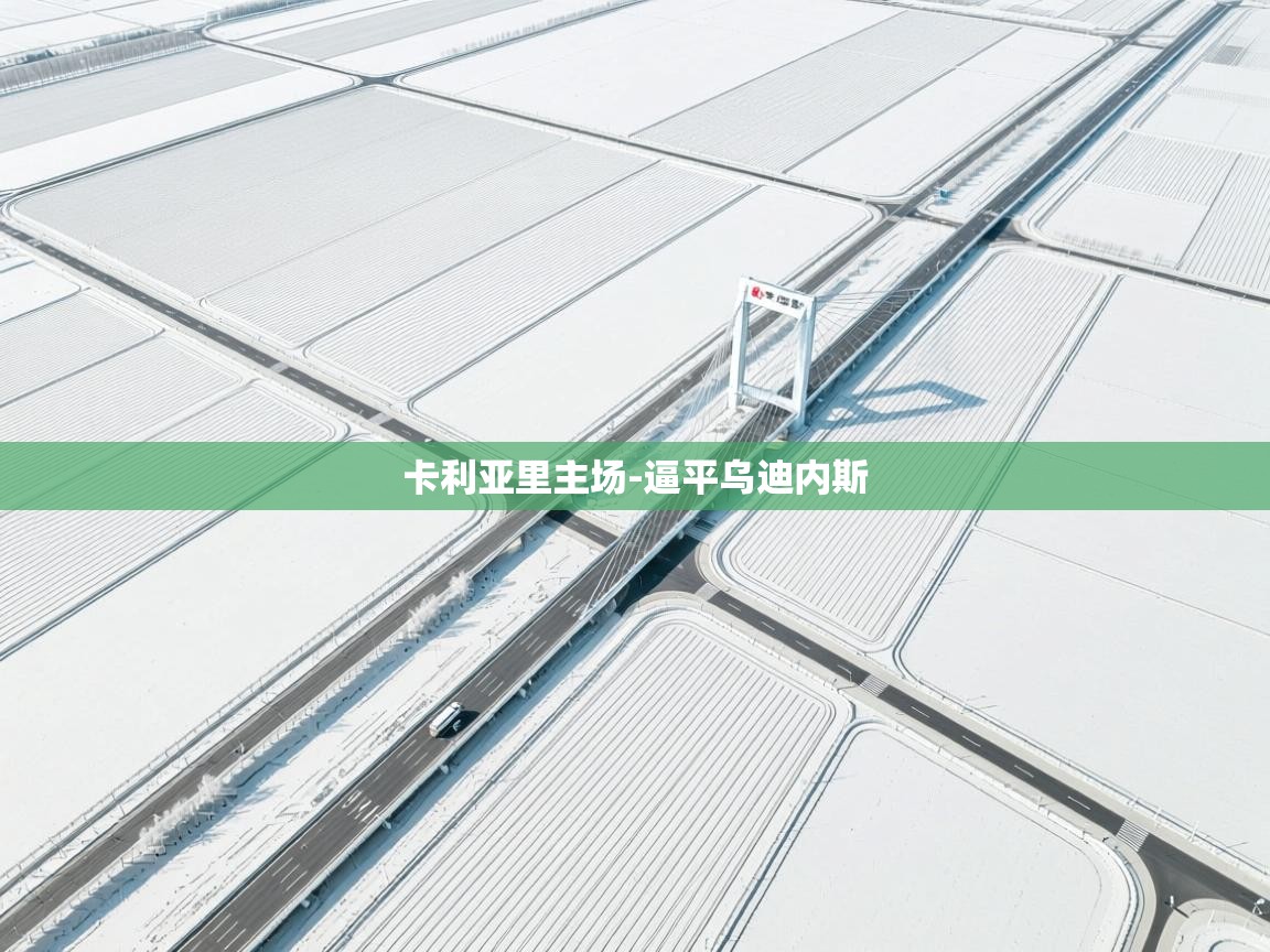 卡利亚里主场-逼平乌迪内斯  第1张